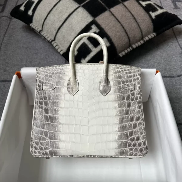 Canada Ottawa Hermes Himalaya Crocodile Birkin 25CM Silver Hardware