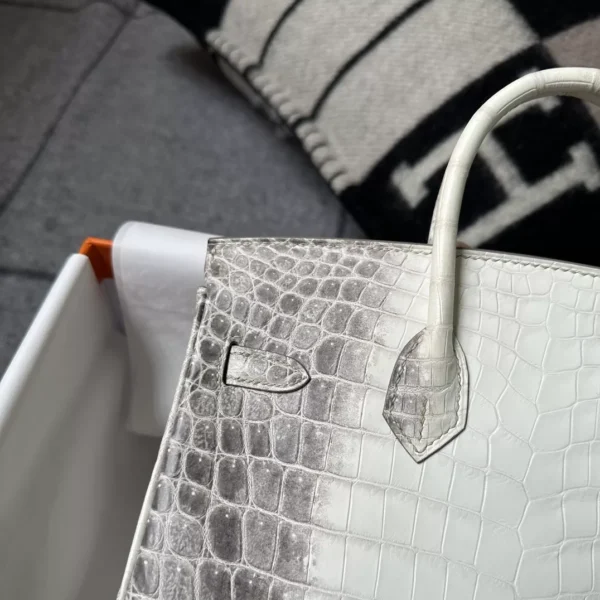 Canada Ottawa Hermes Himalaya Crocodile Birkin 25CM Silver Hardware