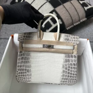 Canada Ottawa Hermes Himalaya Crocodile Birkin 25CM Silver Hardware