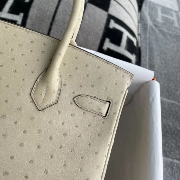 Qatar Doha Hermes Ostrich Birkin 30CM 3C Parchemin Silver Hardware