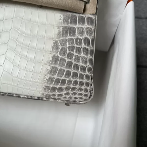 Canada Ottawa Hermes Himalaya Crocodile Birkin 25CM Silver Hardware