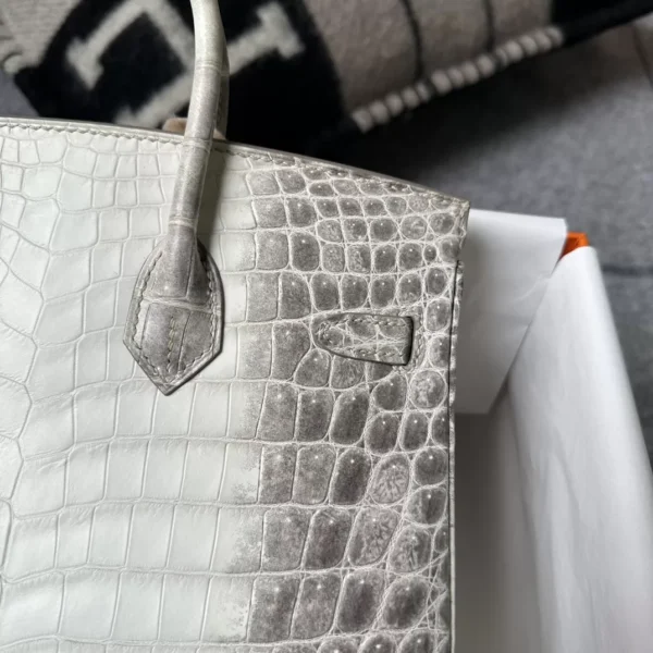 Canada Ottawa Hermes Himalaya Crocodile Birkin 25CM Silver Hardware