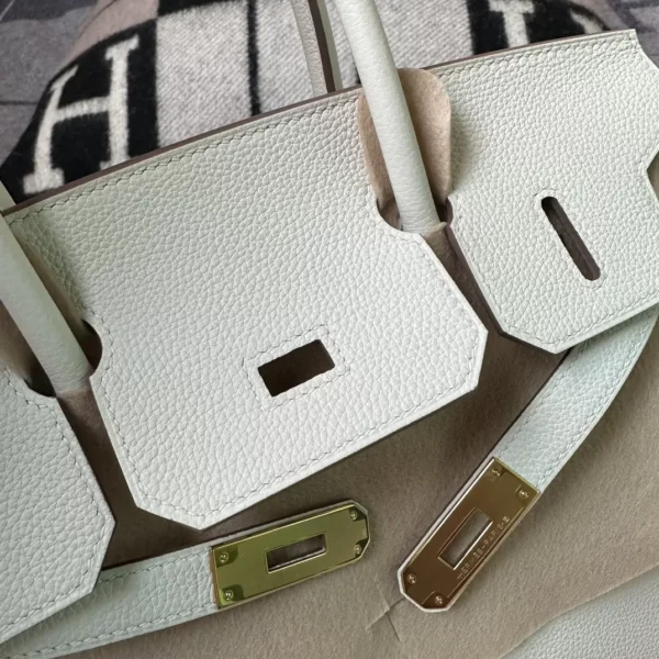 Hermes Shop 0T Mushroom Togo Leather Birkin 30CM Gold Hardware