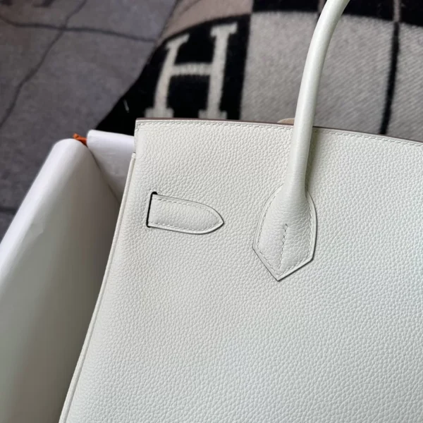 Hermes Shop 0T Mushroom Togo Leather Birkin 30CM Gold Hardware