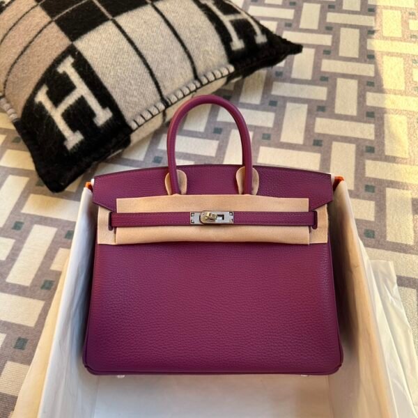 Indonesia Jakarta Hermes Birkin 25CM P9 Anemone Togo Leather Silver Hardware