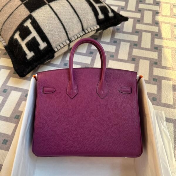 Indonesia Jakarta Hermes Birkin 25CM P9 Anemone Togo Leather Silver Hardware