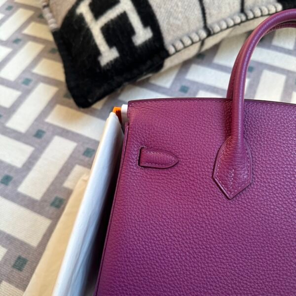 Indonesia Jakarta Hermes Birkin 25CM P9 Anemone Togo Leather Silver Hardware