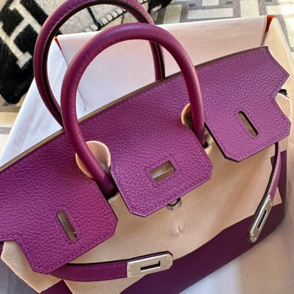 Indonesia Jakarta Hermes Birkin 25CM P9 Anemone Togo Leather Silver Hardware