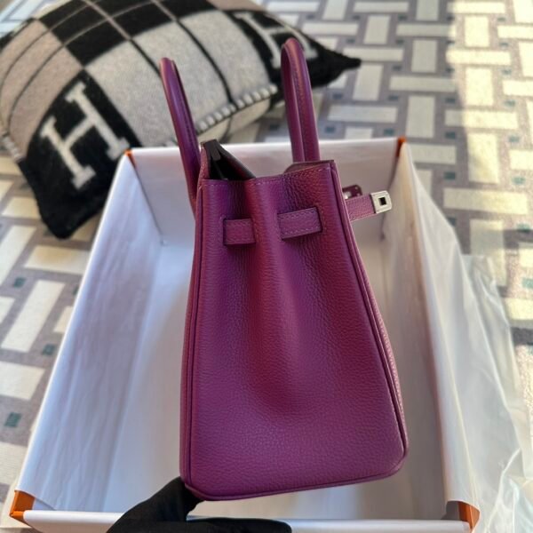 Indonesia Jakarta Hermes Birkin 25CM P9 Anemone Togo Leather Silver Hardware