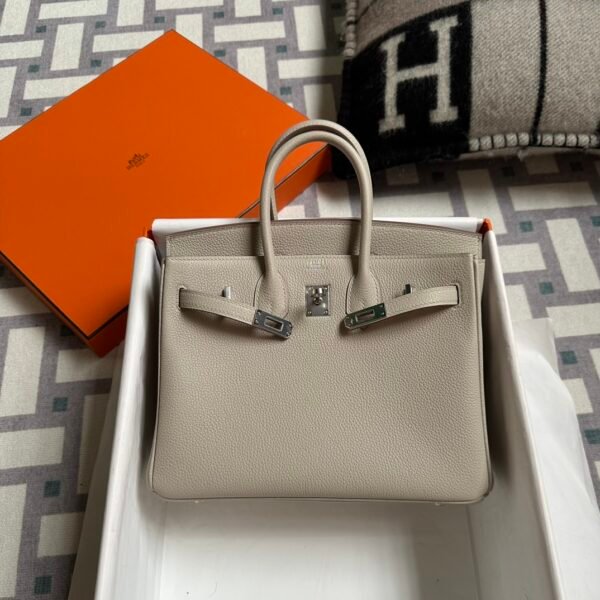 Hermes Bag Price Birkin 25CM Togo Leather 8L Beton Silver Hardware