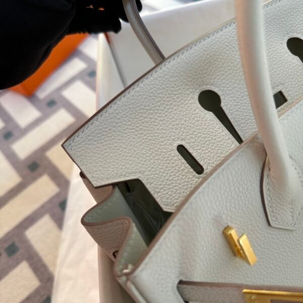 USA Washington Hermes Birkin 25CM Togo Leather 0T Mushroom Gold Hardware