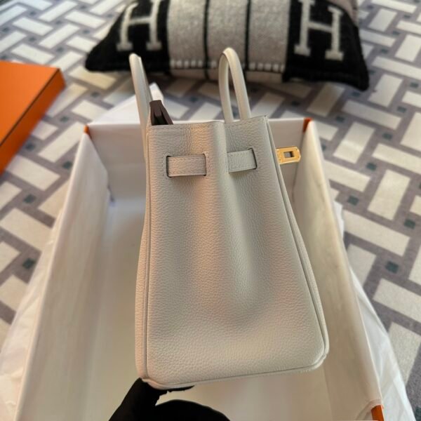 USA Washington Hermes Birkin 25CM Togo Leather 0T Mushroom Gold Hardware