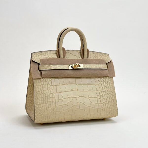 wsxc1728657800915_1 Hermes Birkin Sellier 20CM Matte Alligator Crocodile Y1 Vanilla Gold Hardware
