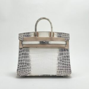 wsxc1729954571408_0 Hermes Birkin 25 Images Himalaya Crocodile Leather Tote Bag Silver Hardware