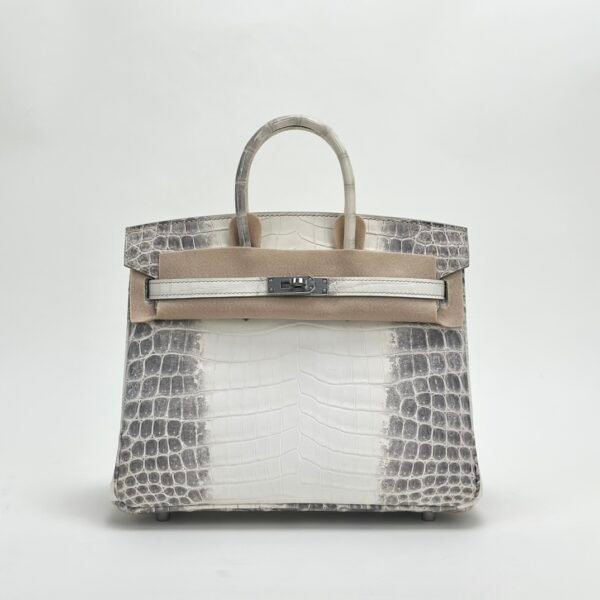 Hermes Birkin 25 Images Himalaya Crocodile Leather Tote Bag Silver Hardware