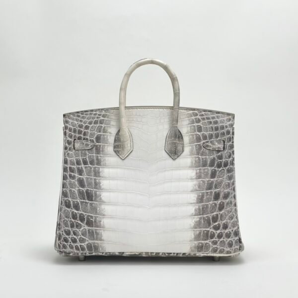 Hermes Birkin 25 Images Himalaya Crocodile Leather Tote Bag Silver Hardware
