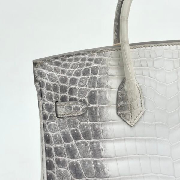 Hermes Birkin 25 Images Himalaya Crocodile Leather Tote Bag Silver Hardware