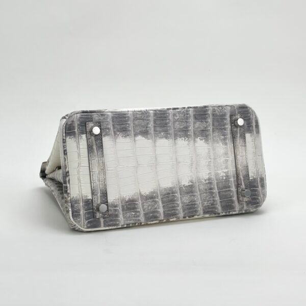 Hermes Birkin 25 Images Himalaya Crocodile Leather Tote Bag Silver Hardware