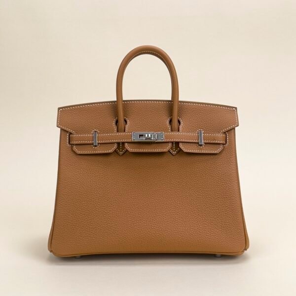 wsxc1729955553596_0 Hermes Bag Price Togo Leather CK37 Gold Birkin 25CM Silver Hardware