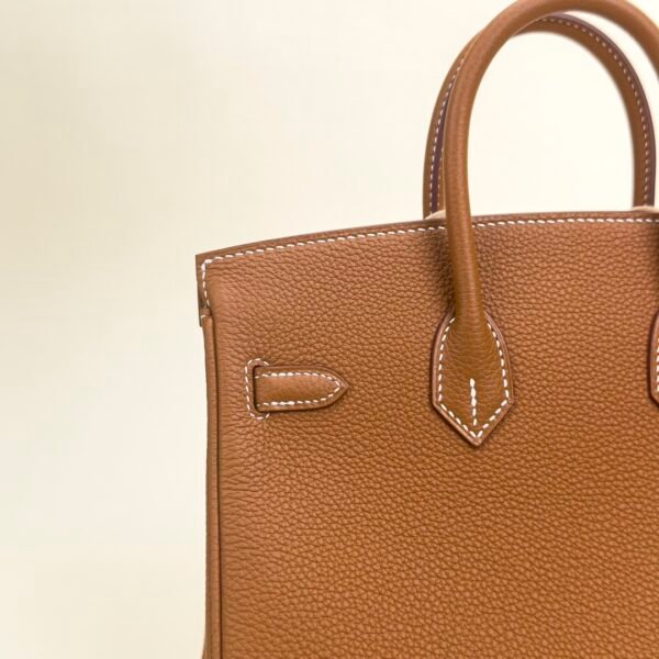 wsxc1729955553596_3 Hermes Bag Price Togo Leather CK37 Gold Birkin 25CM Silver Hardware