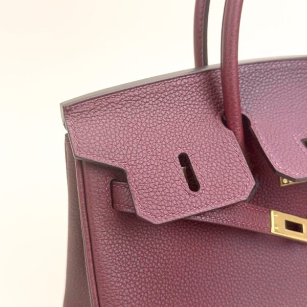 wsxc1729955614885_3 Canada Toronto Hermes Birkin 25CM Togo Leather CC55 Rouge H Gold Hardware