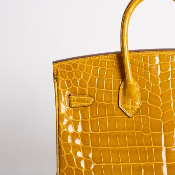 Hermes Bag Price Shiny Niloticus Crocodile Birkin 25CM 9D Jaune Amber Gold Hardware