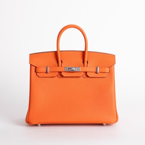 wsxc1735232611747_0-1 Canada Ottawa Togo Leather CK93 Orange Birkin 25CM Silver Hardware