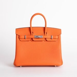 wsxc1735232611747_0 Canada Ottawa Togo Leather CK93 Orange Birkin 25CM Silver Hardware