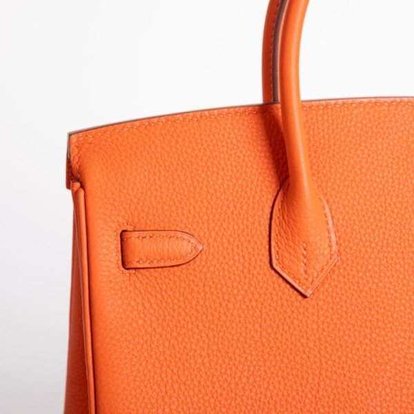 wsxc1735232612652_2 Canada Ottawa Togo Leather CK93 Orange Birkin 25CM Silver Hardware