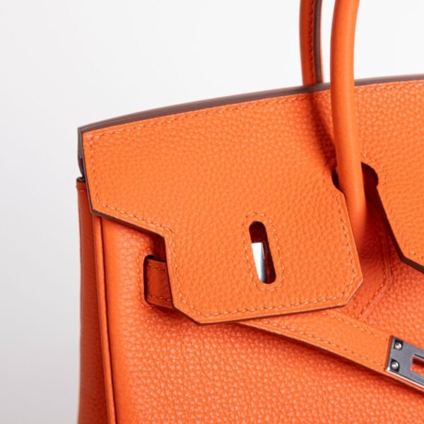 wsxc1735232614659_4 Canada Ottawa Togo Leather CK93 Orange Birkin 25CM Silver Hardware