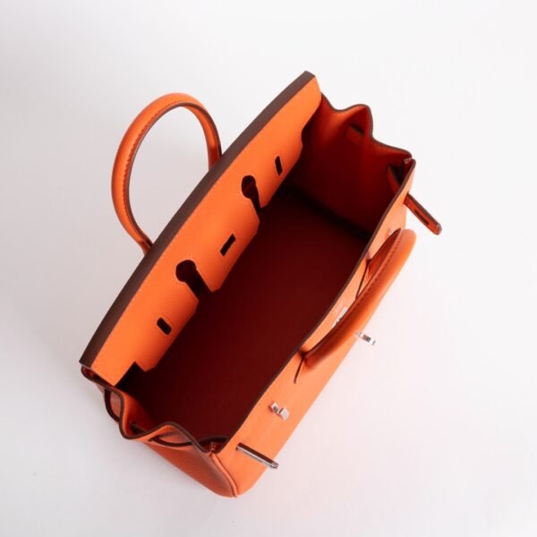 wsxc1735232615655_5 Canada Ottawa Togo Leather CK93 Orange Birkin 25CM Silver Hardware