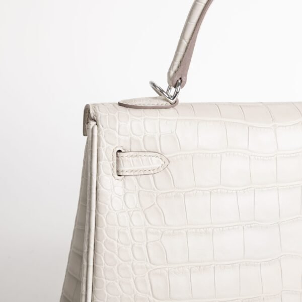 Luxury Handbag Matte Alligator Crocodile Kelly 25CM 8L Beton Silver Hardware