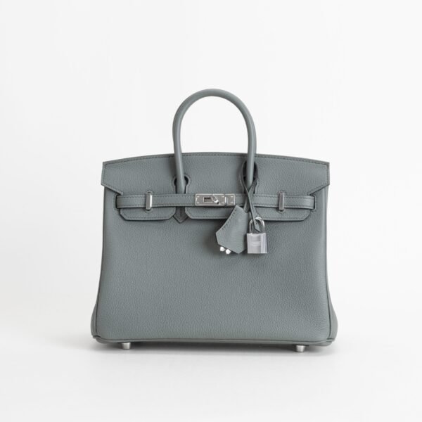 wsxc1746466533932_0-scaled-2 Hermes Bag Images CK63 Vert Amande Togo Leather Birkin 25CM Silver Hardware