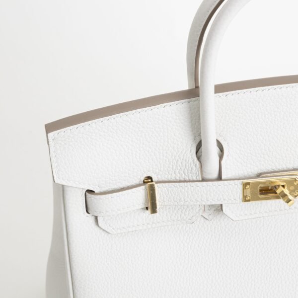 Hermes Bag Price Birkin 25CM 01 Blanc Togo Leather Gold Hardware