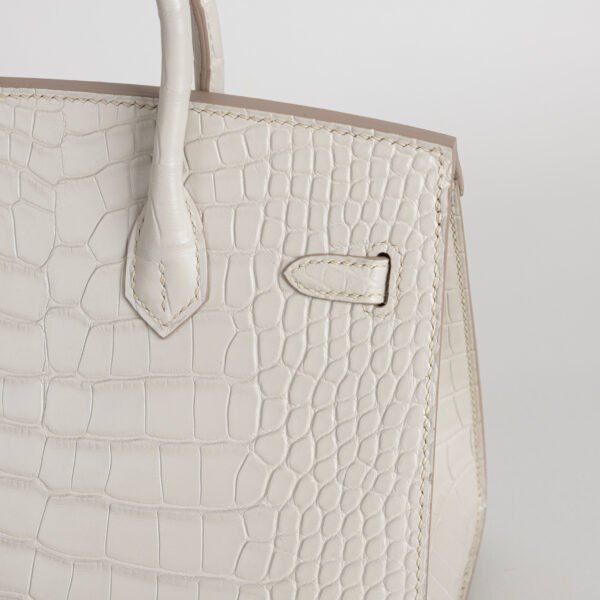 Hermes Bag Price Birkin Sellier 20CM 8L Beton Matte Alligator Crocodile Gold Hardware