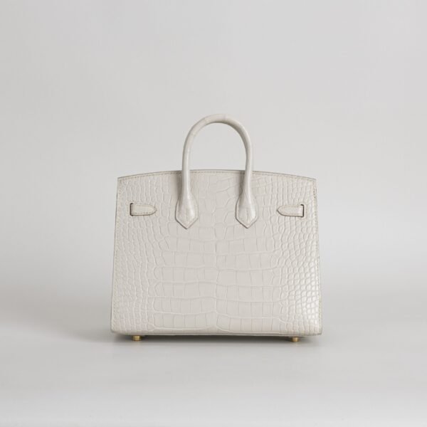 Hermes Bag Price Birkin Sellier 20CM 8L Beton Matte Alligator Crocodile Gold Hardware