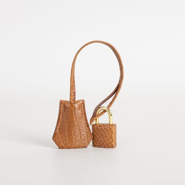 wsxc1747148023914_5-1-scaled-1 Luxury Hermes Bag CC37 Gold Matte Alligator Crocodile Birkin Sellier 20CM Gold Hardware