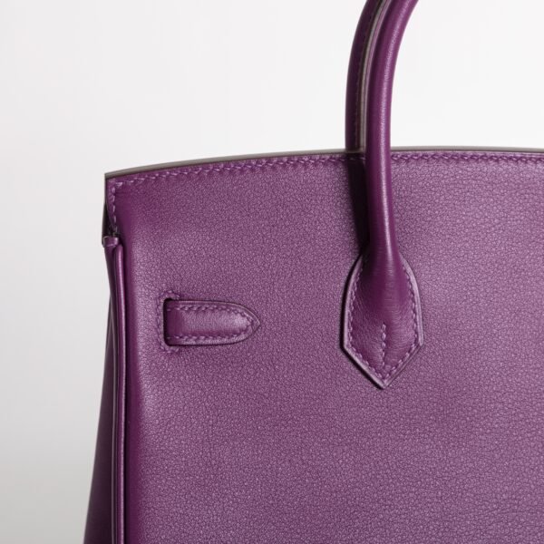 UAE Dubai Hermes Birkin 25CM Swift Leather P9 Anemone Silver Hardware