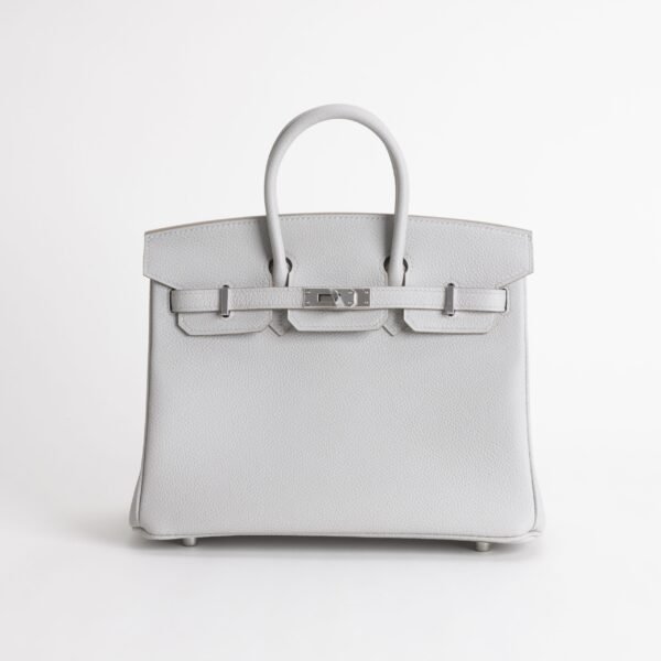 wsxc1748102583546_0-scaled-1 Hermes Bag Images 8U Blue Glacier Togo Leather Birkin 25CM Silver Hardware
